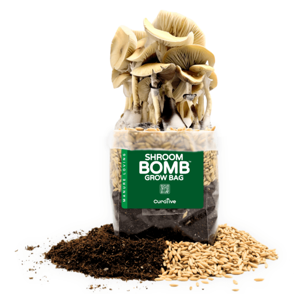 2 pound grow bag Happy Mushrooms Fruiting Shroom Bomb