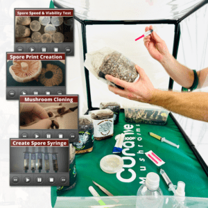 3-In-1 Mushroom Spores Acceleration Kit With Still Air Box (SAB)