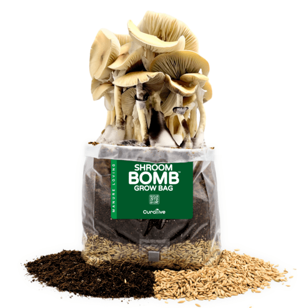 5 pound grow bag fruiting mushrooms Shroom Bomb