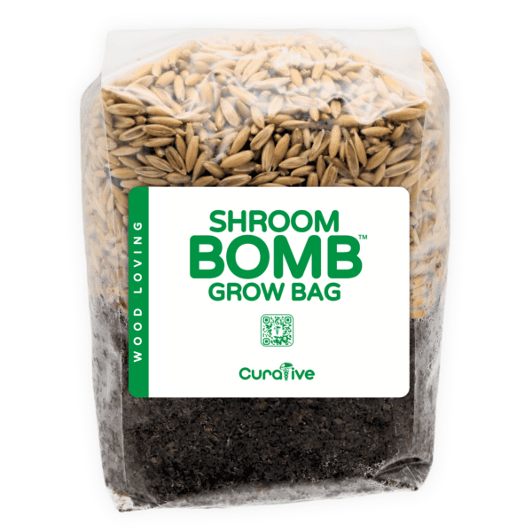 Shroom Bomb Grow bag 2 pound white folded magic mushrooms