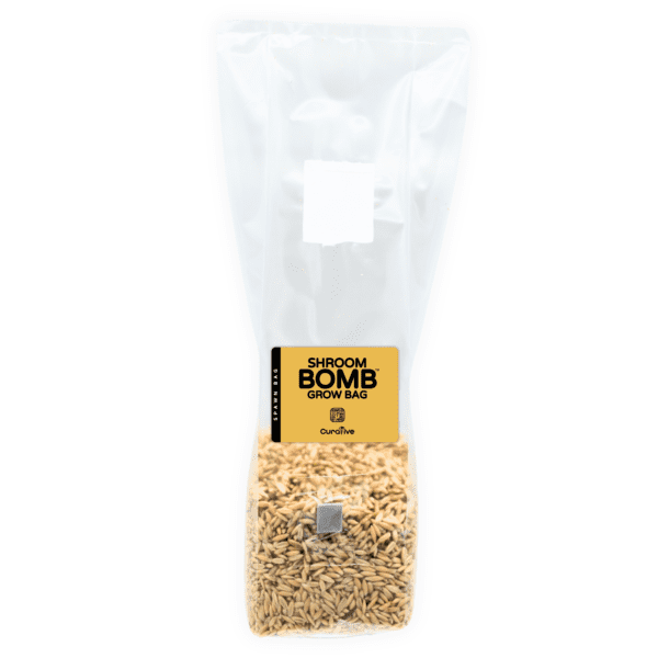 Grain Spawn Bag Mushroom Grow Bag