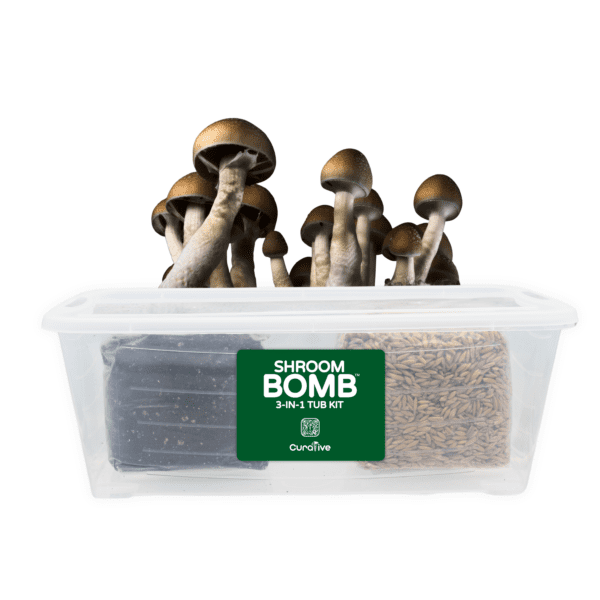 3 in 1 Kit Shroom Bomb Mushroom Grow Kit