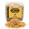 Grain Mushroom Grow Bag with grain example