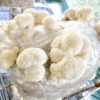 Shroom Bomb™ Wood Loving Mushroom Grow Bag - Image 6