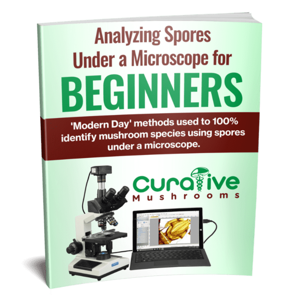 Mushroom Spores Microscopy Guide & 4 FREE Happy Mushrooms Spores Syringes - Image 3