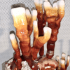 Shroom Bomb™ Wood Loving Mushroom Grow Bag - Image 8