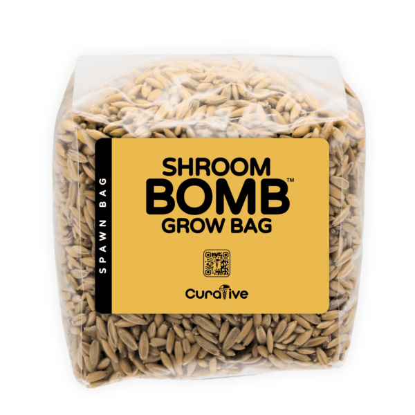 Grain Spawn Bag Magic Mushrooms Shroom Bomb