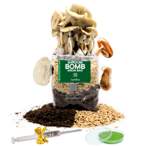 challenge grow kit starter